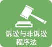 訴訟與非訴訟程序法